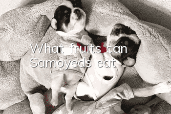 What fruits can Samoyeds eat?
