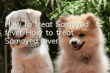 How to treat Samoyed fever How to treat Samoyed fever