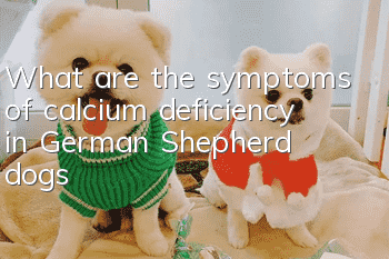 What are the symptoms of calcium deficiency in German Shepherd dogs?