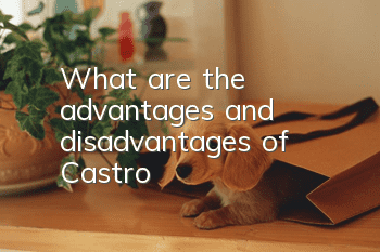 What are the advantages and disadvantages of Castro