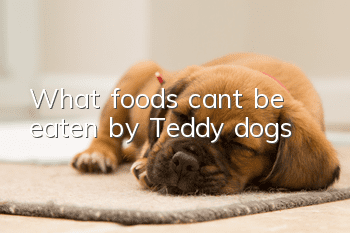 What foods can’t be eaten by Teddy dogs?