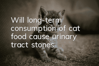 Will long-term consumption of cat food cause urinary tract stones?
