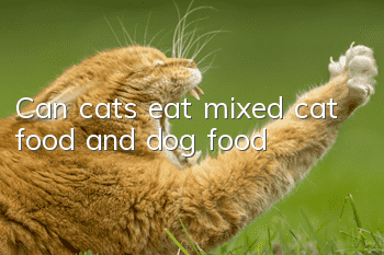 Can cats eat mixed cat food and dog food?