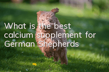 What is the best calcium supplement for German Shepherds?
