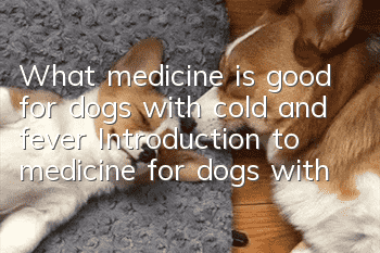 What medicine is good for dogs with cold and fever? Introduction to medicine for dogs with cold and fever.