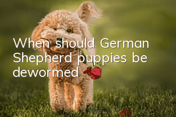 When should German Shepherd puppies be dewormed?