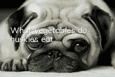 What vegetables do huskies eat?