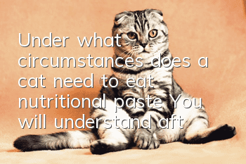 Under what circumstances does a cat need to eat nutritional paste? You will understand after reading this!