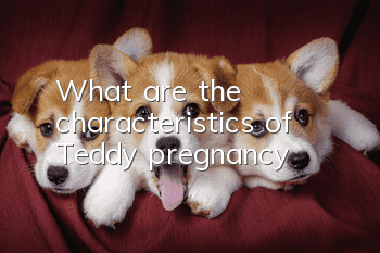 What are the characteristics of Teddy pregnancy?