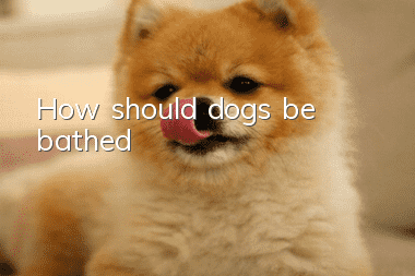 How should dogs be bathed?