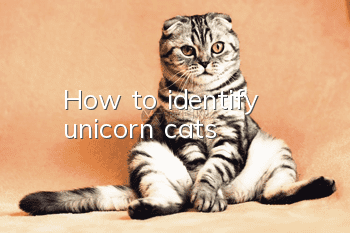 How to identify unicorn cats