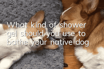 What kind of shower gel should you use to bathe your native dog?