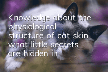 Knowledge about the physiological structure of cat skin, what little secrets are hidden in the cat’s body?