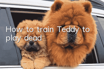 How to train Teddy to play dead