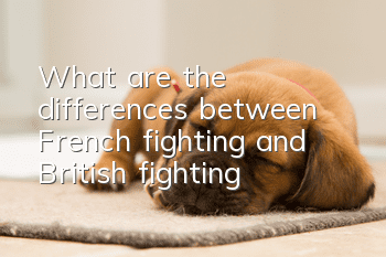What are the differences between French fighting and British fighting?