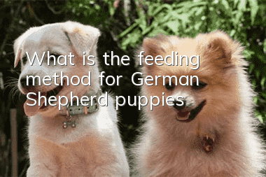 What is the feeding method for German Shepherd puppies?