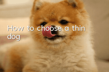How to choose a thin dog
