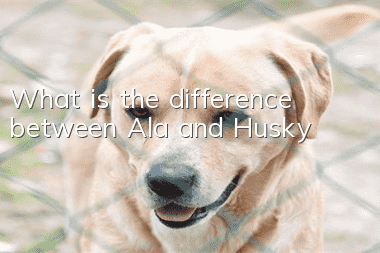 What is the difference between Ala and Husky?