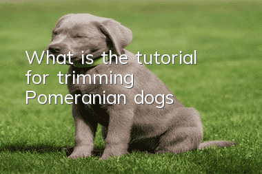 What is the tutorial for trimming Pomeranian dogs?