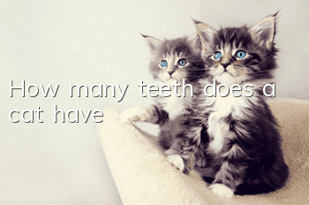 How many teeth does a cat have?