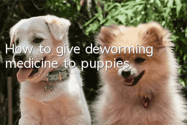 How to give deworming medicine to puppies