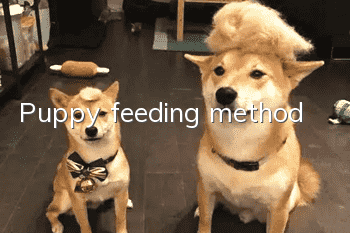 Puppy feeding method