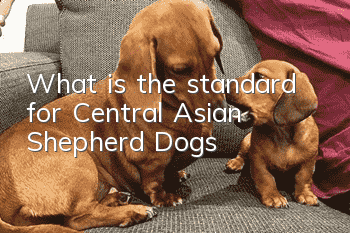 What is the standard for Central Asian Shepherd Dogs?