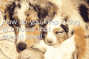 How do you keep a dog in a house that doesn’t smell?