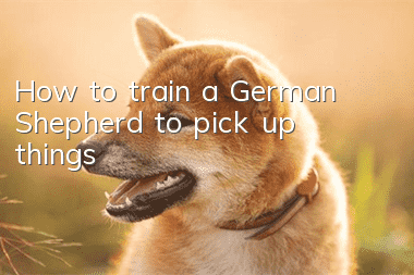 How to train a German Shepherd to pick up things