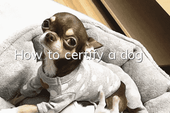 How to certify a dog
