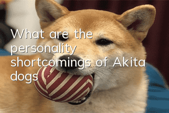 What are the personality shortcomings of Akita dogs?