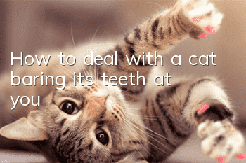 How to deal with a cat baring its teeth at you?