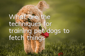 What are the techniques for training pet dogs to fetch things?