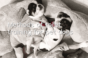 Methods of toilet training for pet dogs