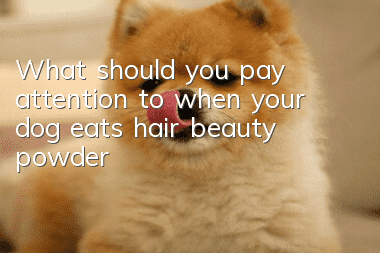 What should you pay attention to when your dog eats hair beauty powder?