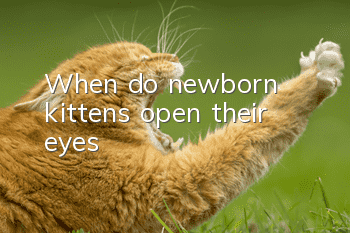 When do newborn kittens open their eyes?