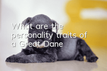 What are the personality traits of a Great Dane?