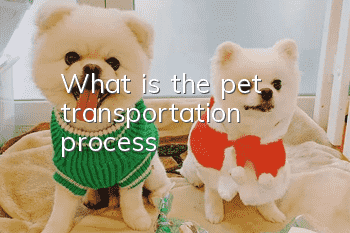 What is the pet transportation process?