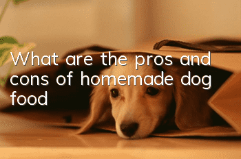 What are the pros and cons of homemade dog food?