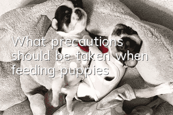 What precautions should be taken when feeding puppies?