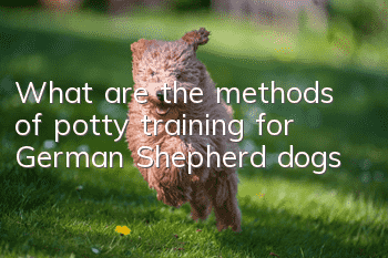 What are the methods of potty training for German Shepherd dogs?