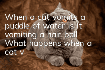 When a cat vomits a puddle of water, is it vomiting a hair ball? What happens when a cat vomits!