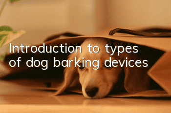 Introduction to types of dog barking devices