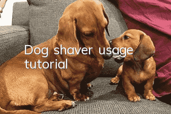 Dog shaver usage tutorial