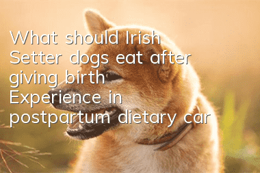 What should Irish Setter dogs eat after giving birth? Experience in postpartum dietary care for Irish Setter dogs