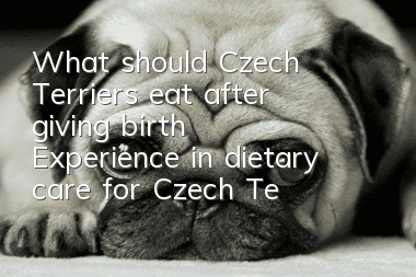 What should Czech Terriers eat after giving birth? Experience in dietary care for Czech Terriers after giving birth
