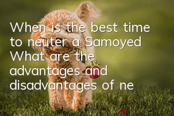 When is the best time to neuter a Samoyed? What are the advantages and disadvantages of neutering a Samoyed?