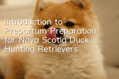 Introduction to Prepartum Preparation for Nova Scotia Duck Hunting Retrievers