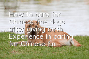 How to care for Chinese fine dogs after giving birth. Experience in caring for Chinese fine dogs after giving birth.
