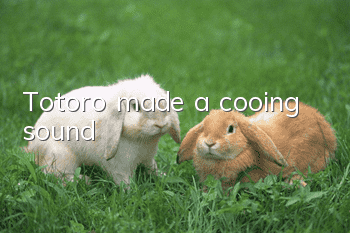 Totoro made a cooing sound